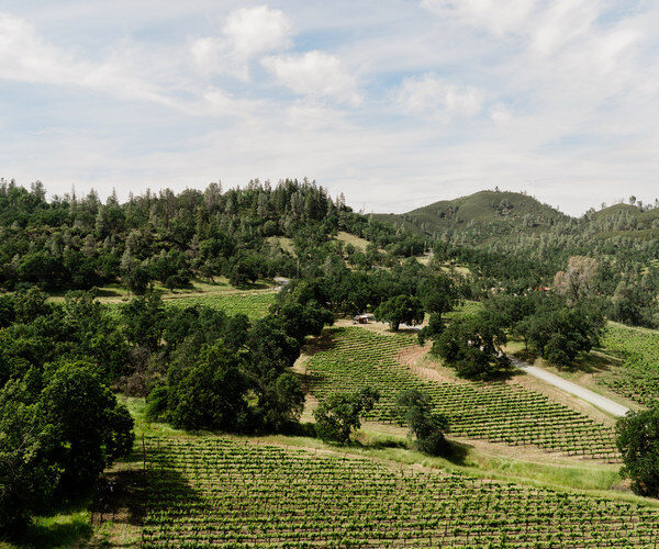 Vu aérienne des vignes au printemps en californie