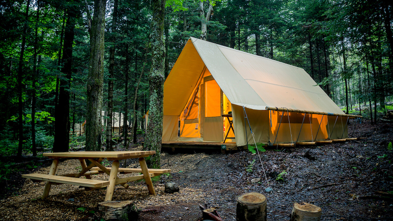 gazelle t4 zelt Plus Hub Tent Overland Edition tog_link:swaddle-up-pucksack-baumwollfleece-1-5-tog-naturmeliert-zweige Style of Glass Roof Sunshade:Openable Sunroofs (2015-2020) The T4 Overland Edition Conni | Musik |