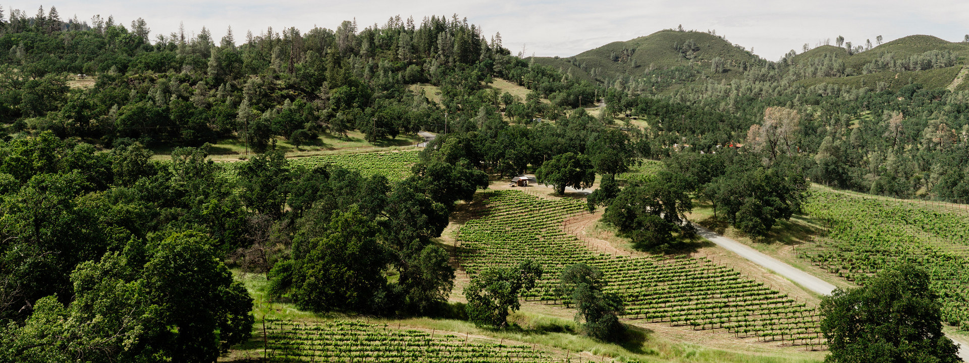 Vignes et nature en Californie du nord