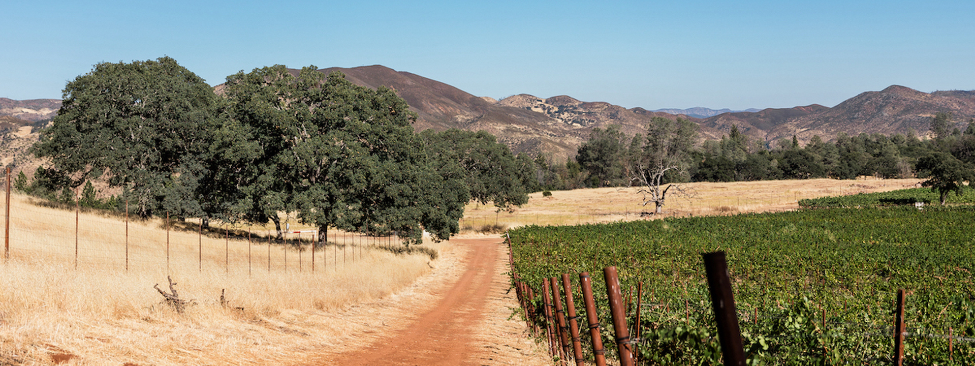 Sleep in the heart of a working winery in Northern California