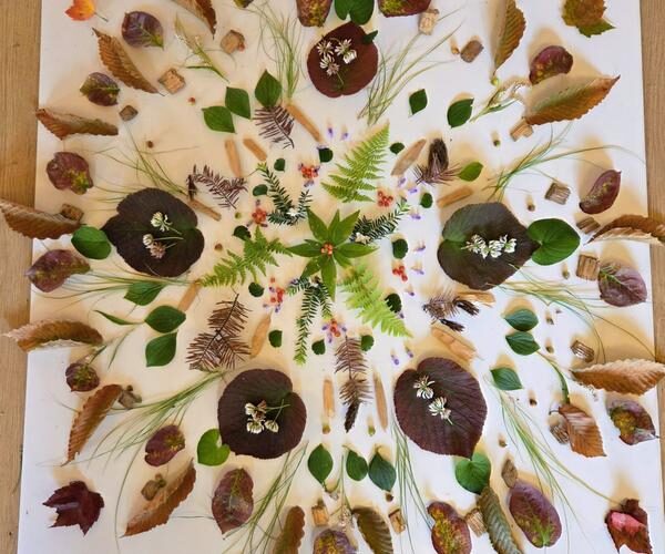 Participez à une activité de land art