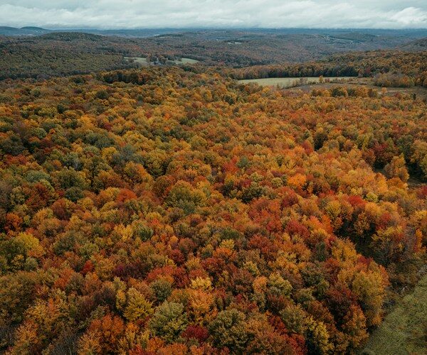 Huttopia Berkshires au coeur du Massachusetts avec piscine chauffée pour un séjour en plein air inoubliable