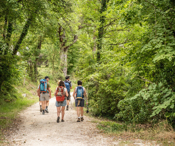 Activité randonnée dans les campings Huttopia