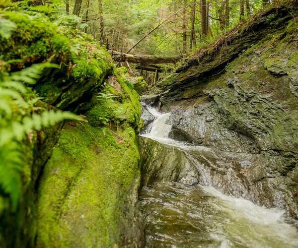 Randonnez à travers les cascades