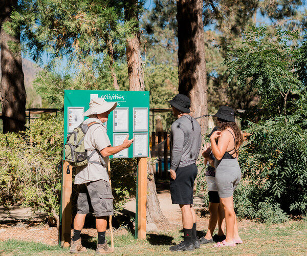 Randonnée guidée pour découvrir des paysages entre forêts et montagnes à couper le souffle
