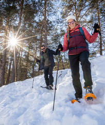Chalet en hiver dans les Berkshires, Huttopia