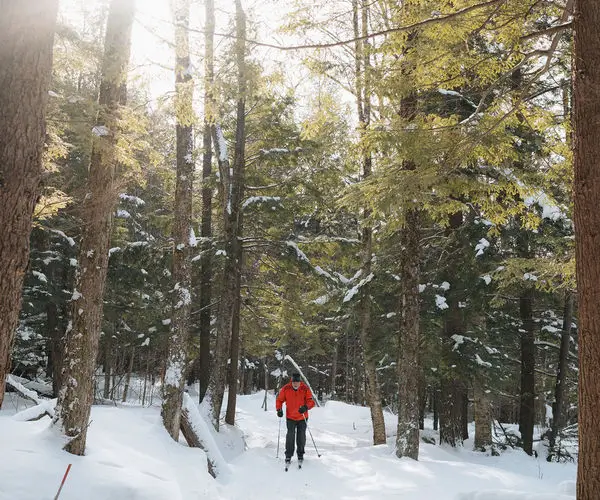 La région des cantons de l'est