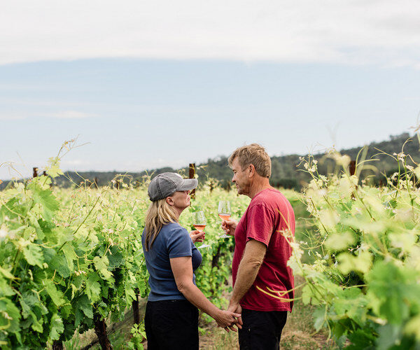 Couple dans les vignes buvant du vin